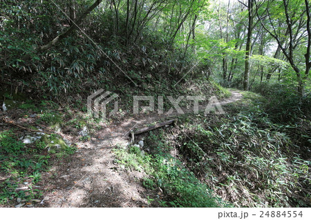 高知県津野町 四国カルスト 天狗高原セラピーロードの写真素材