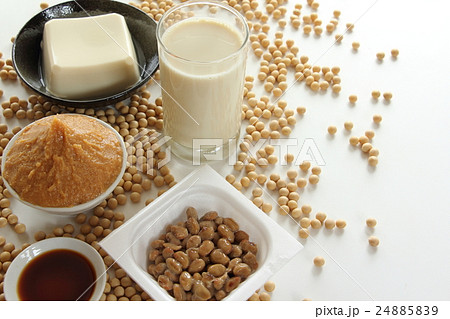 大豆食品 24885839