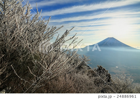 樹氷の毛無山から見る朝の富士山 樹氷の毛無山から見る朝の富士山 24886961