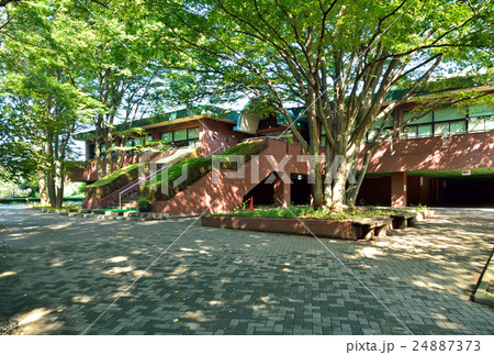 見沼田圃：市民の森 24887373