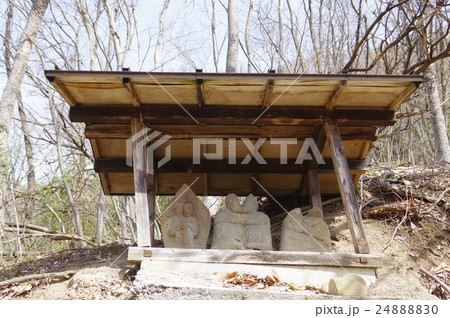 池桜の接吻道祖神　横（信州　安曇野の道祖神、石造文化財）　抱き合い接吻する姿は珍しい 24888830