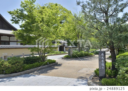 承天寺通り　博多 24889125