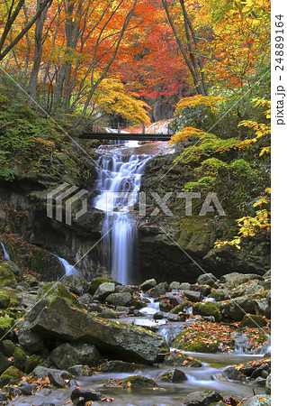 秋のあだたら渓谷 24889164