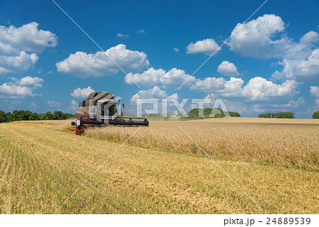 Harvester on a field of wheat 24889539