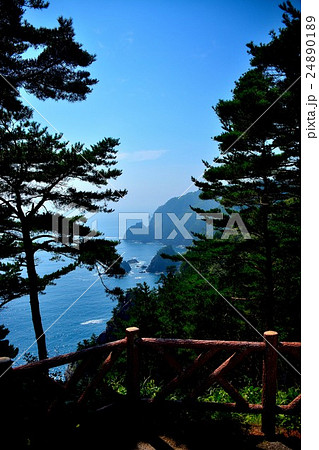 東北・三陸河岸・黒崎・展望台から眺める矢越岬（２） 24890189