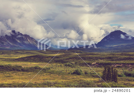 Denali highway 24890201