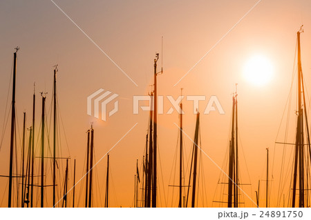 rows of boats mast 24891750