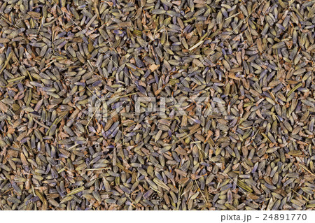 dried lavender organic tea 24891770