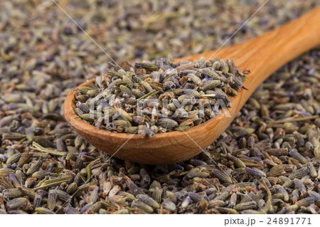 dried lavender organic tea 24891771