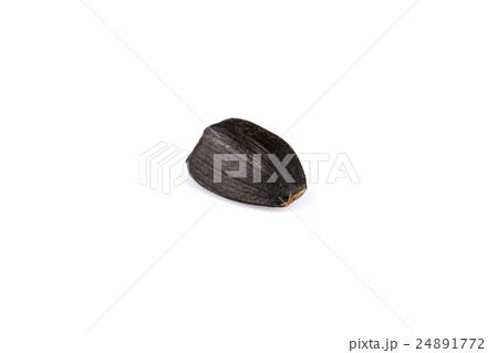 Heap of black sunflower seeds Heap of black sunflower seeds 24891772