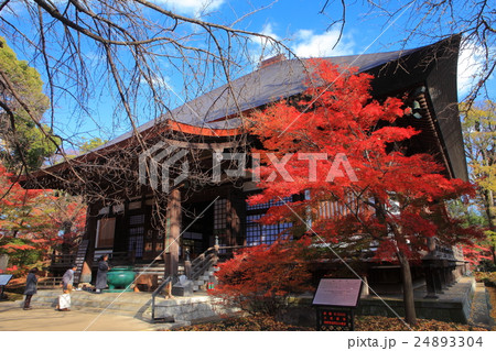 紅葉の九品仏浄真寺(本堂) 紅葉の九品仏浄真寺(本堂) 24893304
