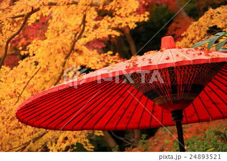 談山神社（奈良県） 24893521