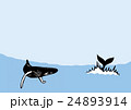 クジラ　背景 24893914