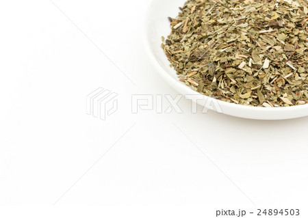 レモンバーベナ: Lemon verbena レモンバーベナ: Lemon verbena 24894503