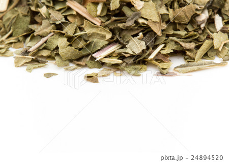 レモンバーベナ: Lemon verbena レモンバーベナ: Lemon verbena 24894520