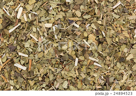レモンバーベナ: Lemon verbena 24894523