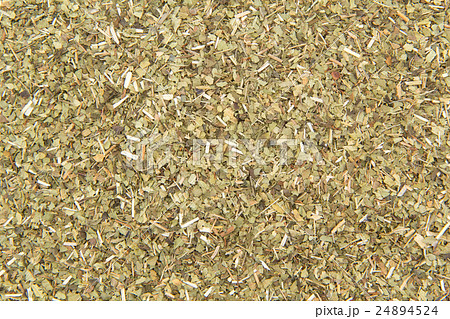 レモンバーベナ: Lemon verbena 24894524