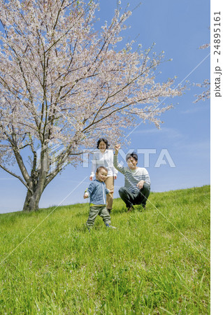 桜の咲く公園で遊ぶ3人家族 24895161