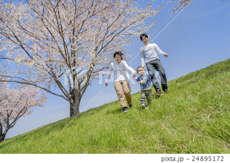桜の咲く公園で遊ぶ3人家族 24895172