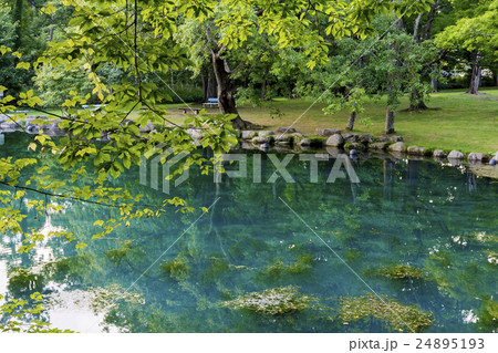 北海道富良野市　鳥沼公園 24895193