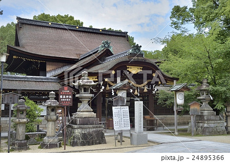 藤森神社 24895366