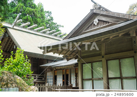 井伊谷宮の拝殿と本殿 井伊谷宮の拝殿と本殿 24895600