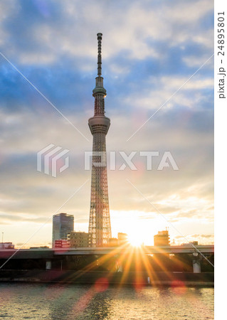 朝焼けに佇む東京スカイツリー 朝焼けに佇む東京スカイツリー 24895801