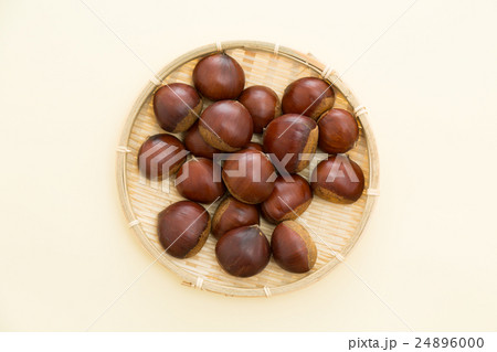 栗　イエローバック 24896000