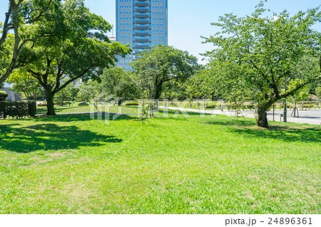 夏の駿府城公園 24896361