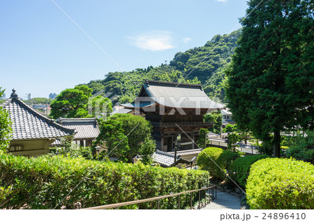 臨済寺山門 24896410