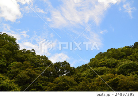 里山と青空 24897295