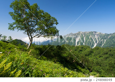 槍ヶ岳への道1 24898049