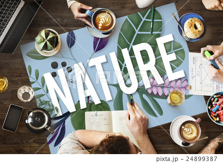 Nature Flower Botanic Plants Concept Nature Flower Botanic Plants Concept 24899387