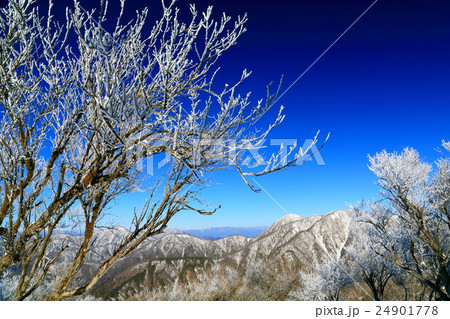 丹沢・塔ノ岳の樹氷と蛭ヶ岳方面の山並み 24901778
