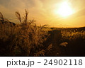 曽爾高原　夕暮れ　その６ 24902118