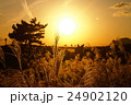 曽爾高原　夕暮れ　その２ 24902120