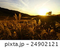 曽爾高原　夕暮れ　その３ 24902121