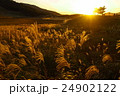 曽爾高原　夕暮れ　その４ 24902122