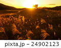 曽爾高原　夕暮れ　その５ 24902123