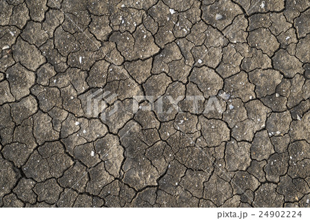 Cracked land during drought Cracked land during drought 24902224