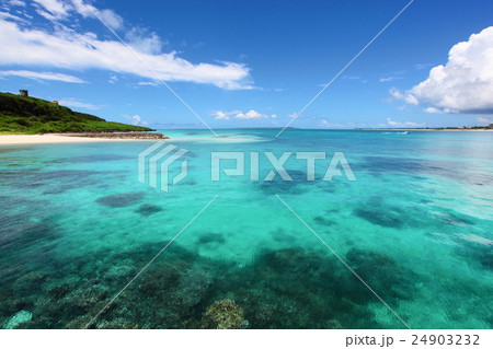 サンゴの海 24903232