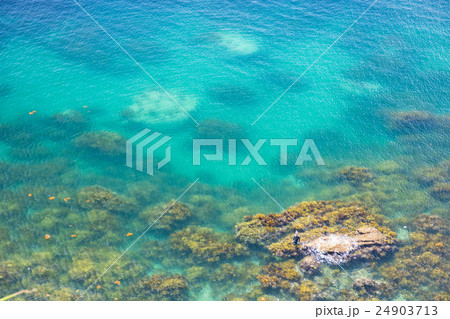 妻良 妻良 24903713