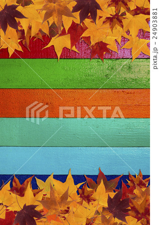 maple leaves and multicolored background 24903881