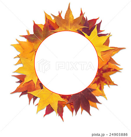 frame maple leaves 24903886
