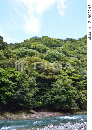 渓流情景 渓流情景 24905293