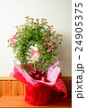 花束 24905375