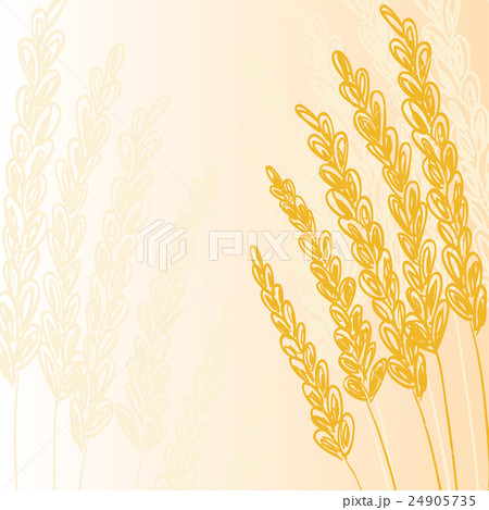 Gold grain background 24905735