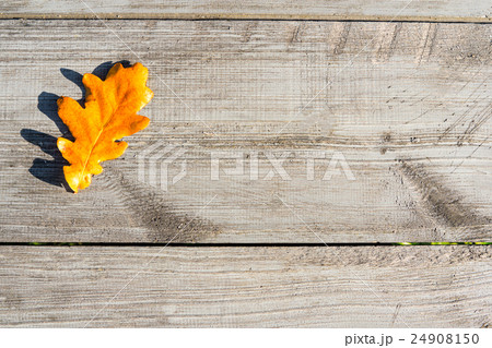 Autumn leaves on a table 24908150