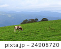 城岱牧場の風景1 24908720