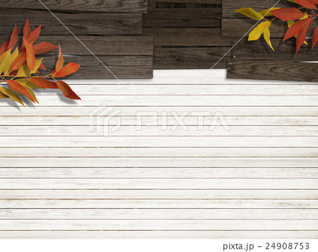 ナチュラル背景 24908753